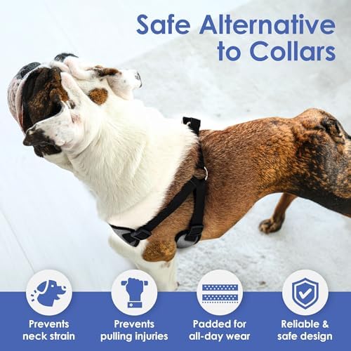 AKC Premium Padded Step-in Dog Harness – Soft Comfort Fit - Image 3