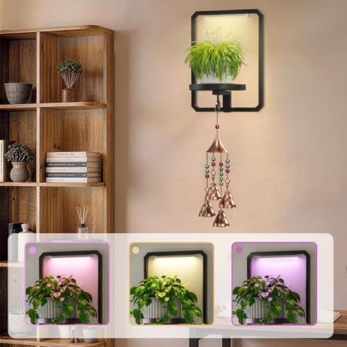LASZOLA Plant Picture Frame Holder Shelf Wall - Image 4