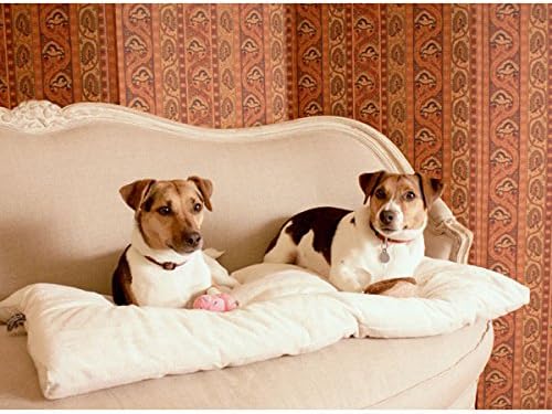 Pet Dreams Dog Crate Pad - Image 2