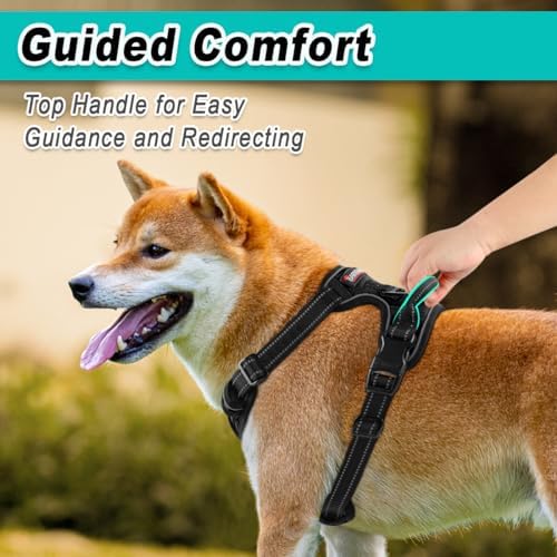 BARKBAY Dog Harness for Medium Sized Dog No Pull 2 Leash Clips Dog Vest - Image 4