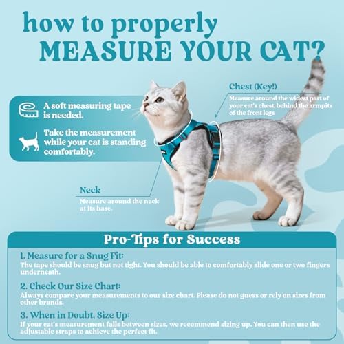 rabbitgoo Cat Harness and Leash Set, Escape Proof Vest - Image 2
