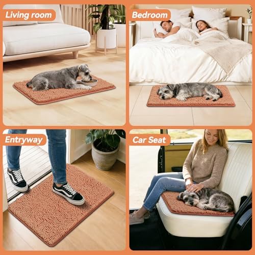 Bcoimo Super Absorbent Dog Door Mat - Image 6