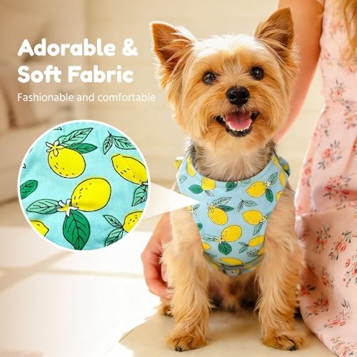 BAEJMJK Dog Harness and Leash Set - Image 3