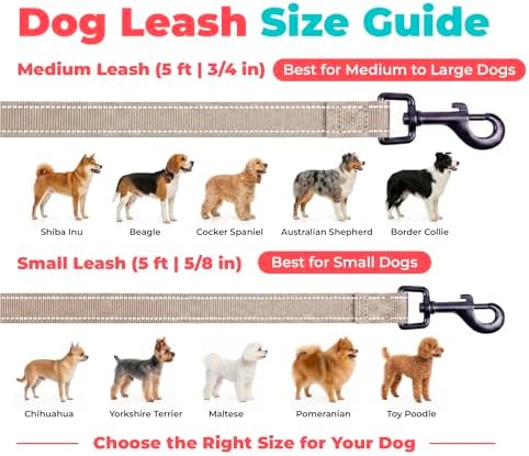 Best Pet Supplies Voyager Nylon Dog Leash - Image 6