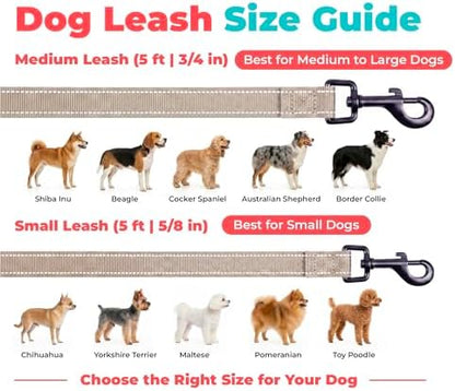 Best Pet Supplies Voyager Nylon Dog Leash - Image 6