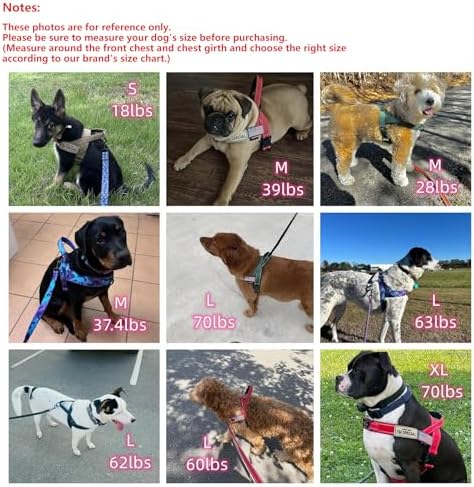 Annchwool No Pull Dog Harness - Image 6