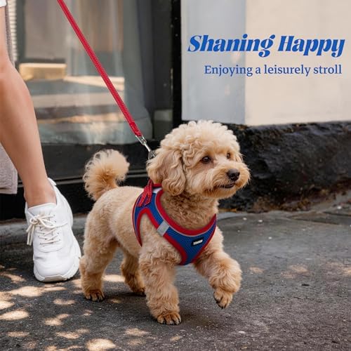 No Pull Dog Puppy Harness and Leash Set Reflective Mesh Vest X-Small - Image 6
