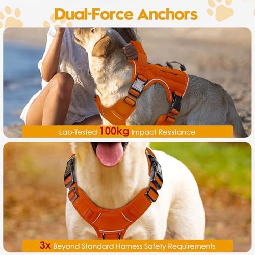 Heavy-Duty Tactical Dog Harness - Image 4