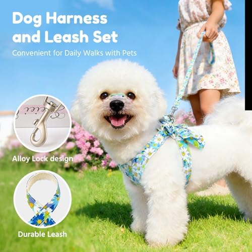 BAEJMJK Dog Harness and Leash Set - Image 5