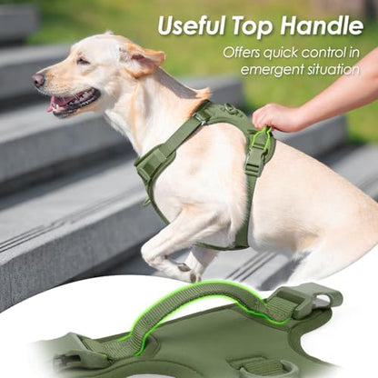Sunraymascota No Pull Dog Harness - Image 4