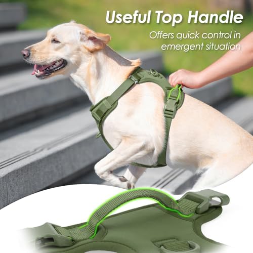 Sunraymascota No Pull Dog Harness - Image 4