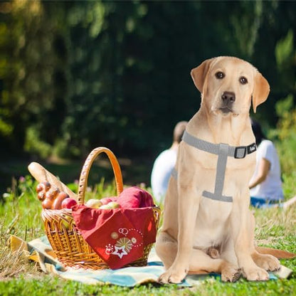 PUPTECK No Pull Dog Harness Large Sized Step-in Adjustable Puppy Vest - Image 5