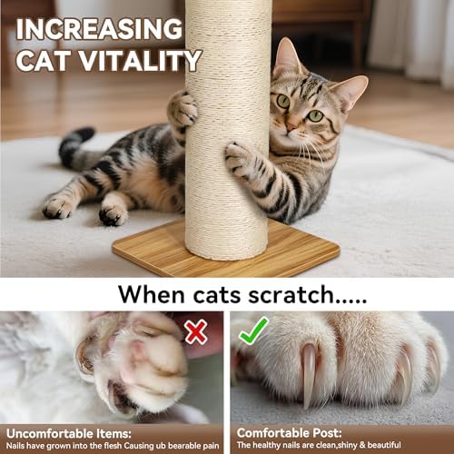 NUNU LAB 29.5’’ Cat Scratching Post, 7.5 Inch Large Diameter Natural Sisal Cat - Image 6