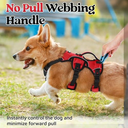 rabbitgoo Escape Proof Dog Harness - Image 4