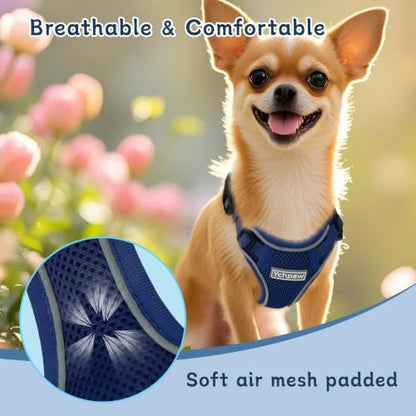Small Dog Harness and Leash Set, Adjustable Small Sized Pet Vest - Image 5
