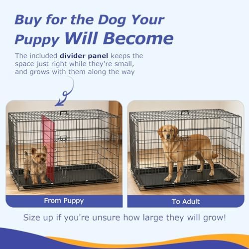 FDW | 48" Foldable Metal Dog Crate | Dark Black | Cage - Image 3