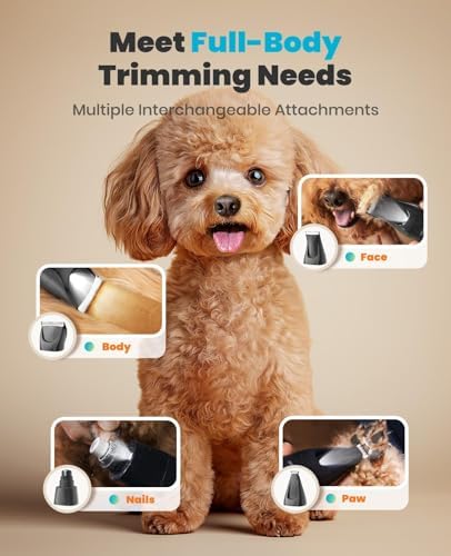 oneisall Professional 4-in-1 Dog Grooming Kit - Image 2