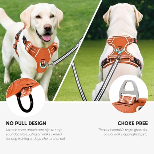 Timos Dog Harness Small Sized, Neck Quick Release - Image 5
