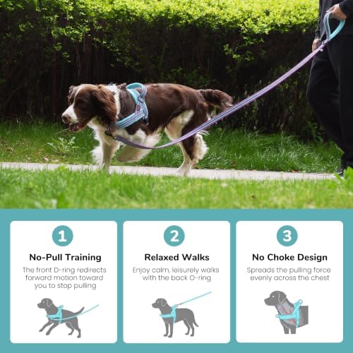 Didog No Pull Dog Harness for Large Dogs, Soft Flannel Padded, Mixed-Blue - Image 4