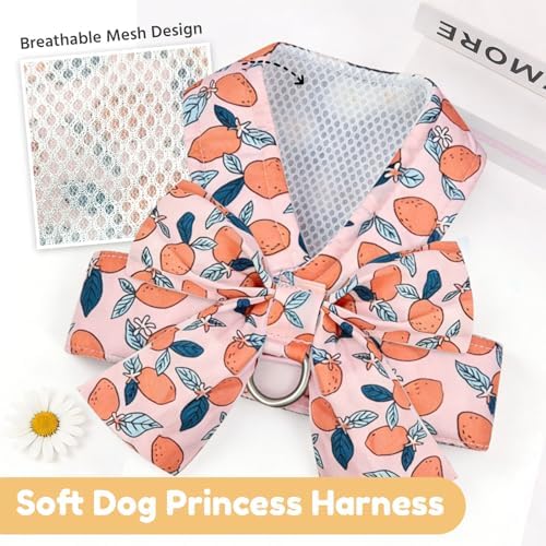 BAEJMJK Dog Harness and Leash Set - Image 5