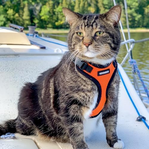 Voyager Step-in Lock Cat Harness & Leash Set - Image 6
