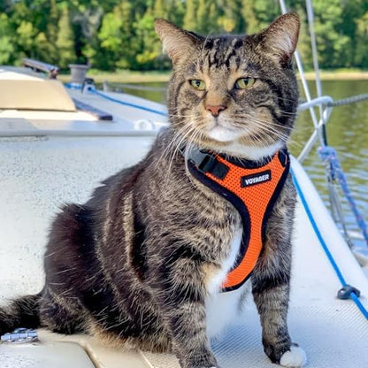Voyager Step-in Lock Cat Harness & Leash Set - Image 6