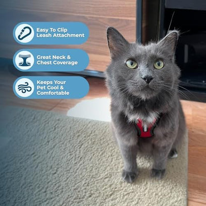 Voyager Step-in Lock Cat Harness & Leash Set - Image 5