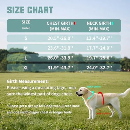 AUROTH Dog Harness and Leash Set - Image 6