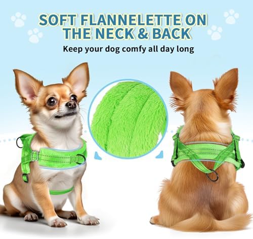 SlowTon No Pull Small Dog Harness and Leash Set - Image 2