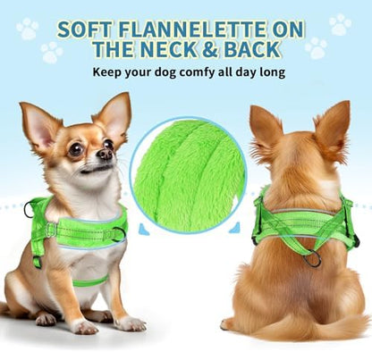 SlowTon No Pull Small Dog Harness and Leash Set - Image 2