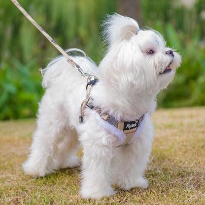 PUPTECK Dog Harness and Leash Set Small Sized, Step in No Pull Adjustable Puppy - Image 5