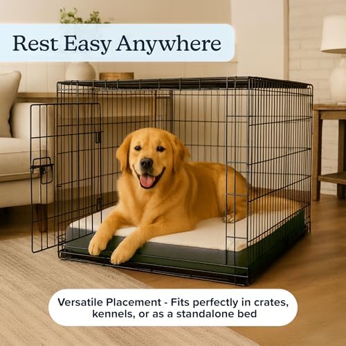 Orthopedic Dog Bed - Image 6