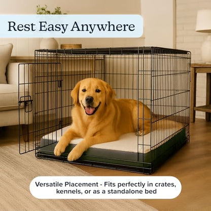Orthopedic Dog Bed - Image 6