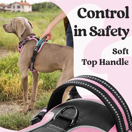 rabbitgoo Dog Harness Medium Sized, Updated Easy On & Off - Image 4