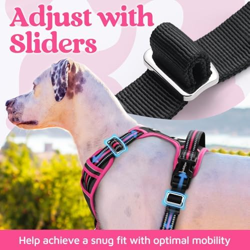 rabbitgoo Dog Harness Medium Sized, No Pull 3 Buckles Easy On & Off - Image 5