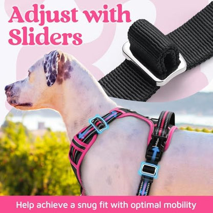 rabbitgoo Dog Harness Medium Sized, No Pull 3 Buckles Easy On & Off - Image 5