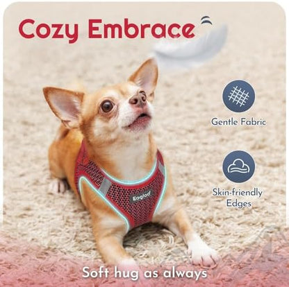 Eagloo Small Dog Harness and Leash Set, Step in Extra Small Puppy Pet Vest - Image 4