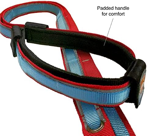 Kurgo Quantum Leash 2.0 - Image 2