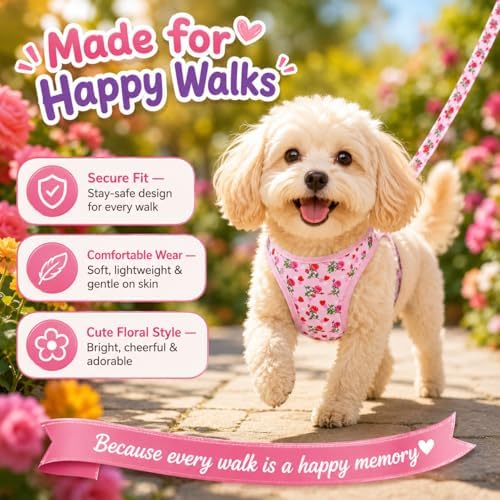 Step in Valentine's Day Dog Harness Leash Set- All Weather Reflective No-Pull - Image 4