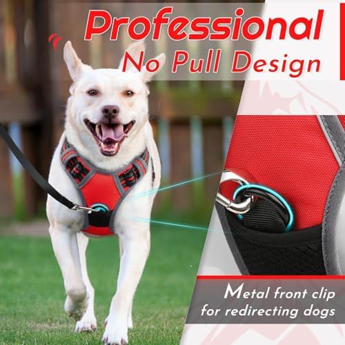 Eagloo Dog Harness for Small Dogs, No Pull Pet Vest - Image 3