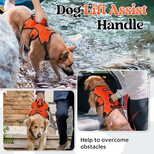 rabbitgoo Escape Proof Dog Harness - Image 3