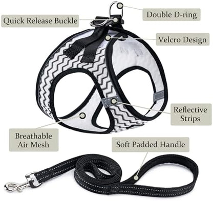 Dog Harness with Leash Set, Step-in Adjustable Puppy Vest - Image 2