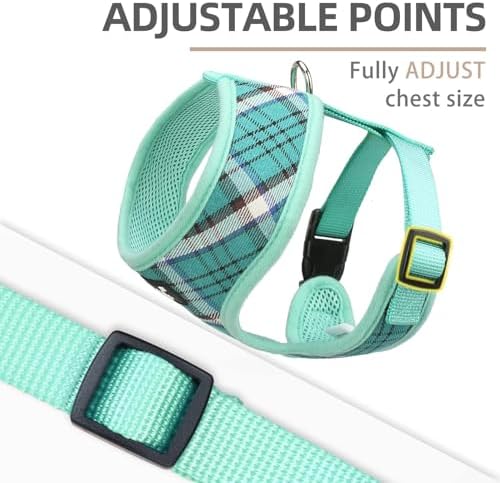 PUPTECK Small Dog Harness and Leash Set No Pull - Image 3