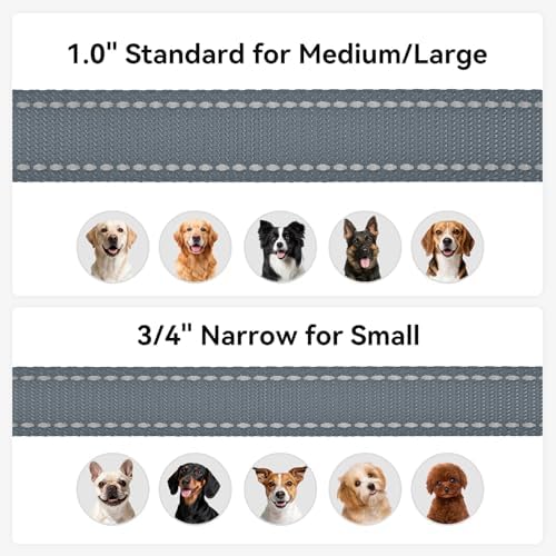 Joytale Reflective Dog Leash for Small Dogs, 5 FT x 3/4" - Image 6