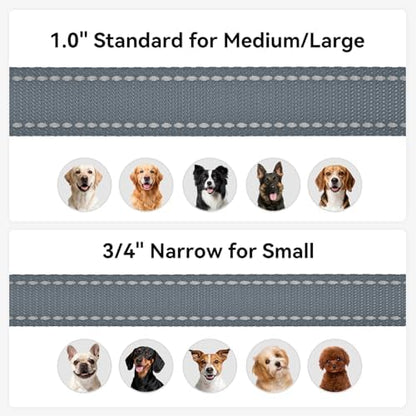 Joytale Reflective Dog Leash for Small Dogs, 5 FT x 3/4" - Image 6