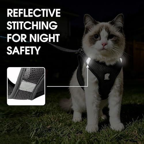 Heywean Cat Harness and Leash Escape Proof, Soft Breathable Mesh Kitty Walking - Image 4