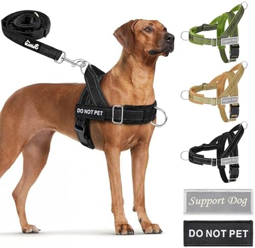 SlowTon No Pull Dog Harness and Leash Set by SlowTon