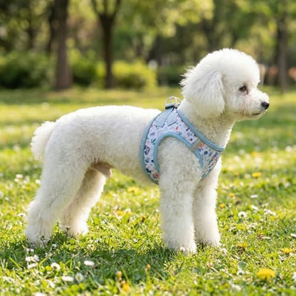 Mihqy Step in Dog Harness and Leash Set, Soft Breathable Mesh - Image 4