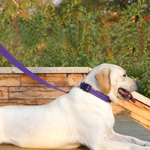 6 FT Basic Dog Leash for Medium Dogs - Image 3