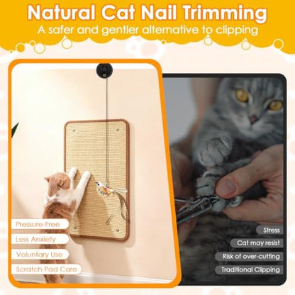 Cat Nail File Scratcher Mat Interactive Hanging Chirping Bird Cat Toy - Image 3